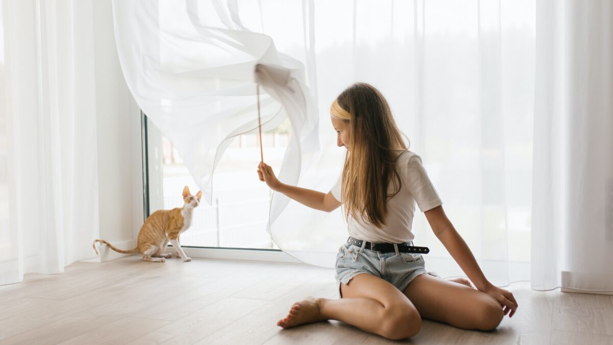 Caucasian teen girl sitting on floor playing with cat cornish rex with a stick teaser in the house
