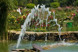 piccolo giardino