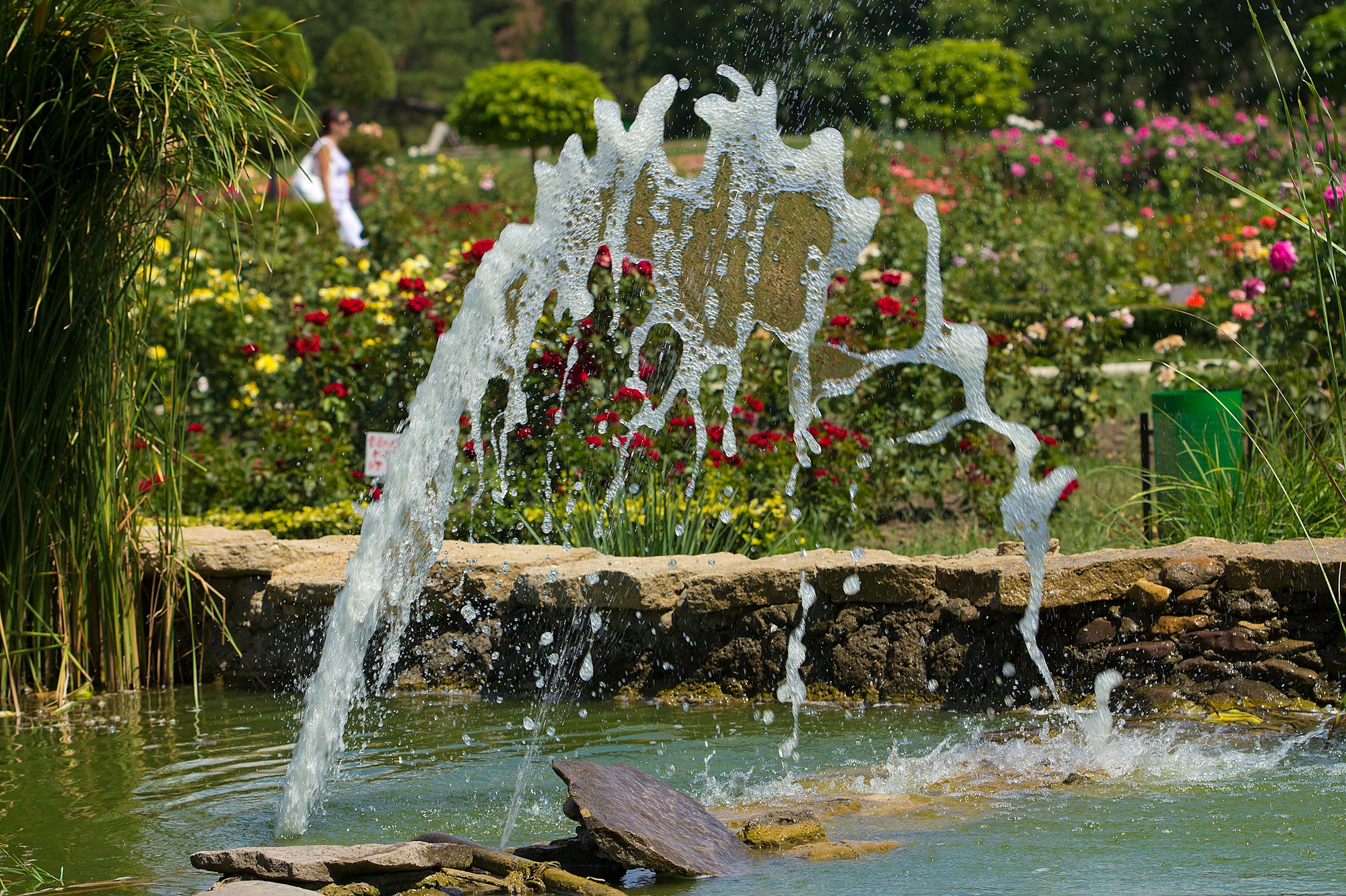 piccolo giardino