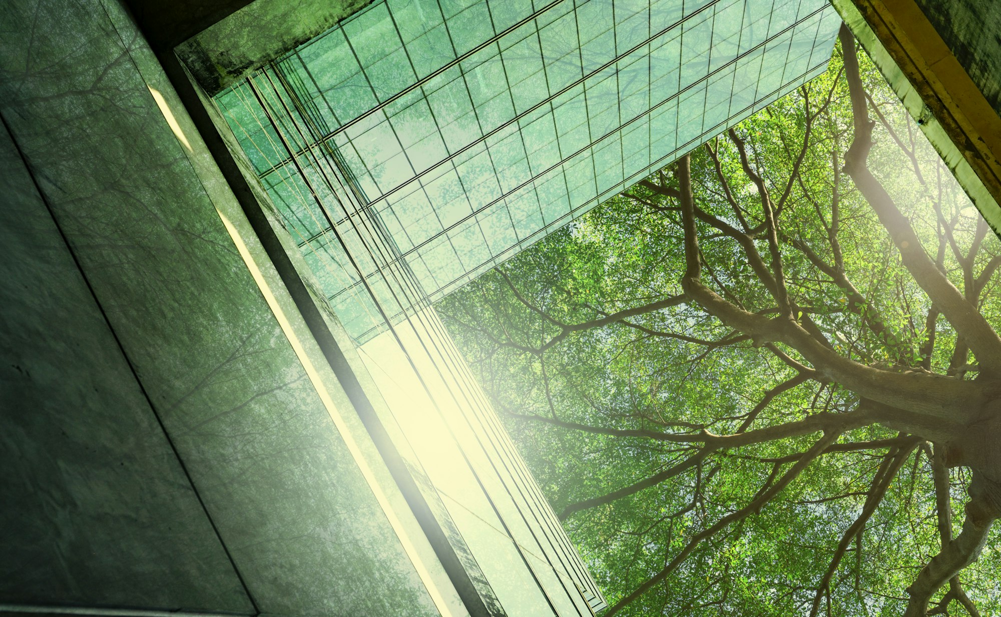 Sustainble green building. Eco-friendly building in modern city. Sustainable glass office building